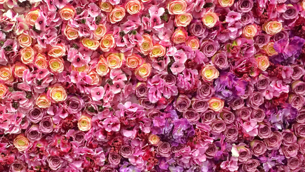 Flower Wall Rentals